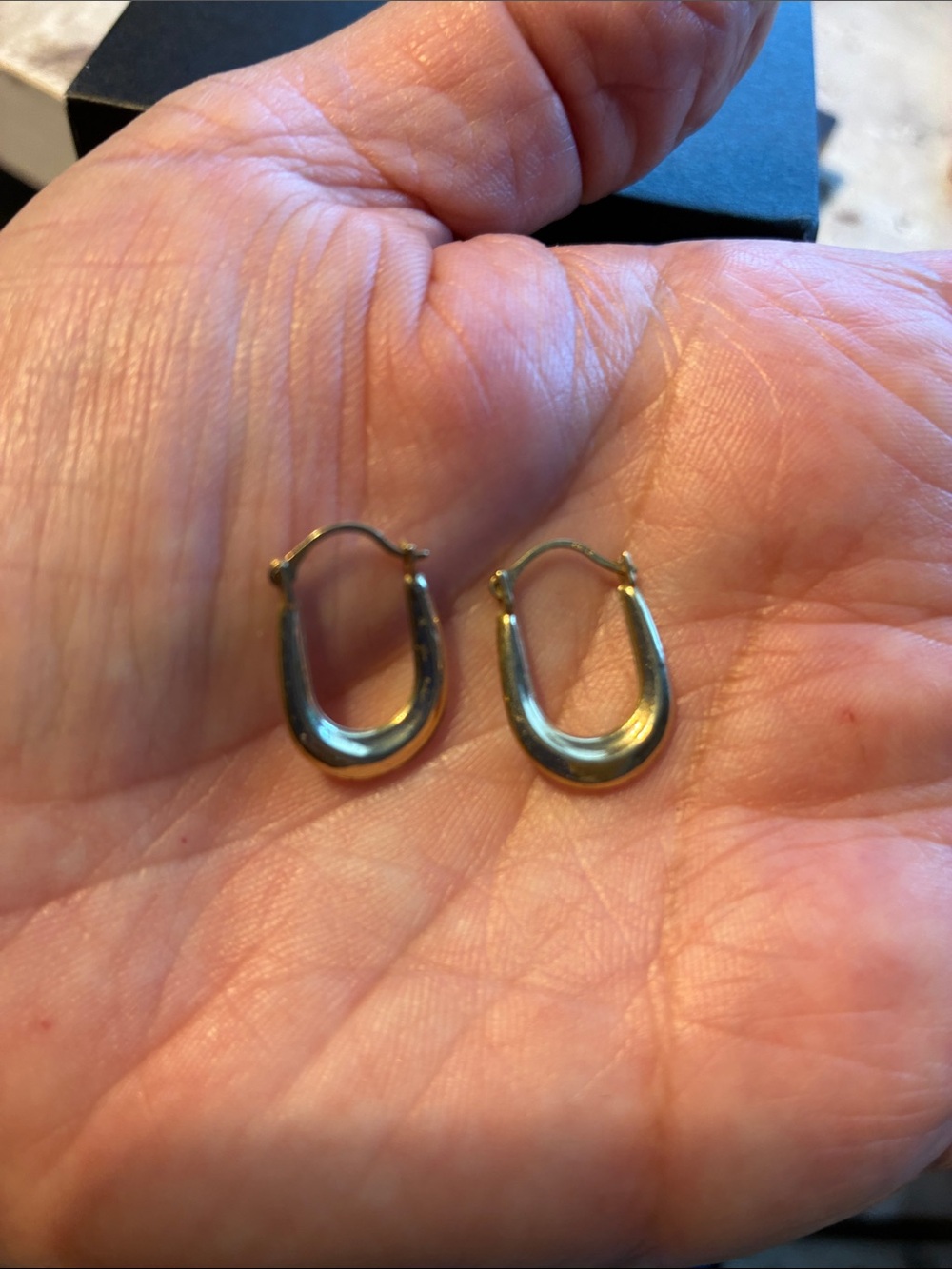 Classic Small Horseshoe 10K Hoop Earrings